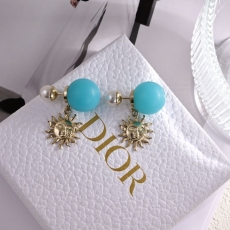 Christian Dior Earrings